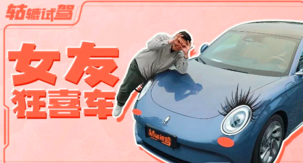  集美，快来rua这只“闪电猫”！ 