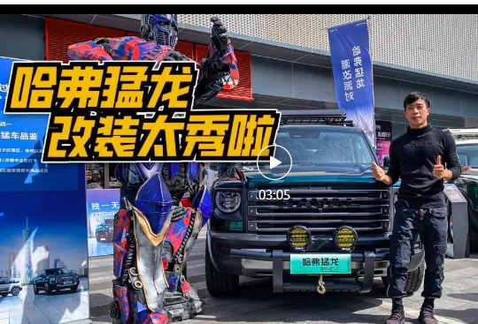 原厂爆改越野车，上路不被查，还是哈弗猛龙会玩
