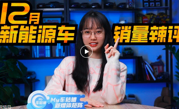 销量丨12月新能源车排名点评，问界M7成黑马，比