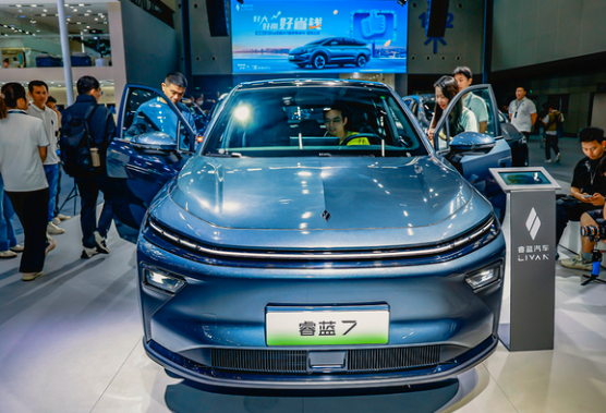 对话睿蓝汽车高层：可充可换可增程，2025年是新的机会
