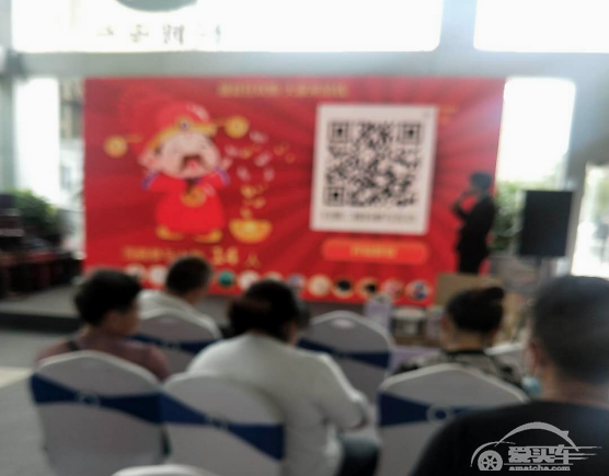 约惠一夏 欧拉双猫上市会圆满落幕